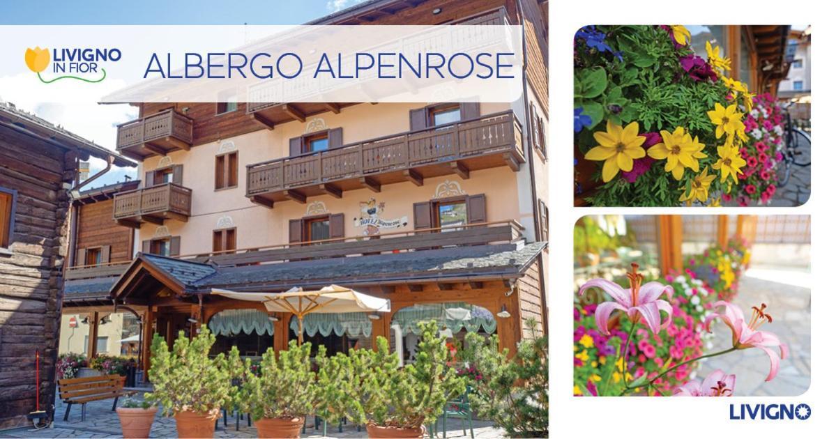 Albergo Alpenrose Лівіньо Екстер'єр фото