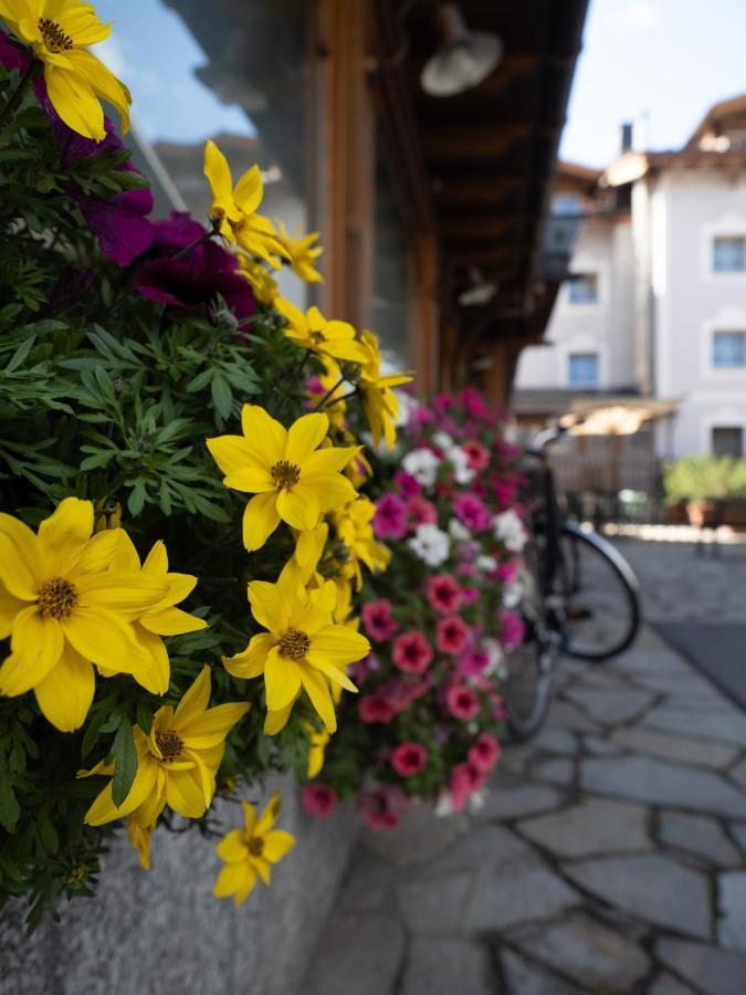 Albergo Alpenrose Лівіньо Екстер'єр фото